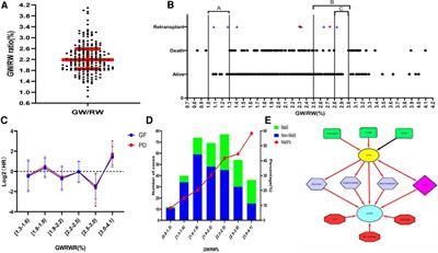Graft-to-recipient weight ratio exerts nonlinear effects on prognosis by interacting with donor liver macrosteatosis